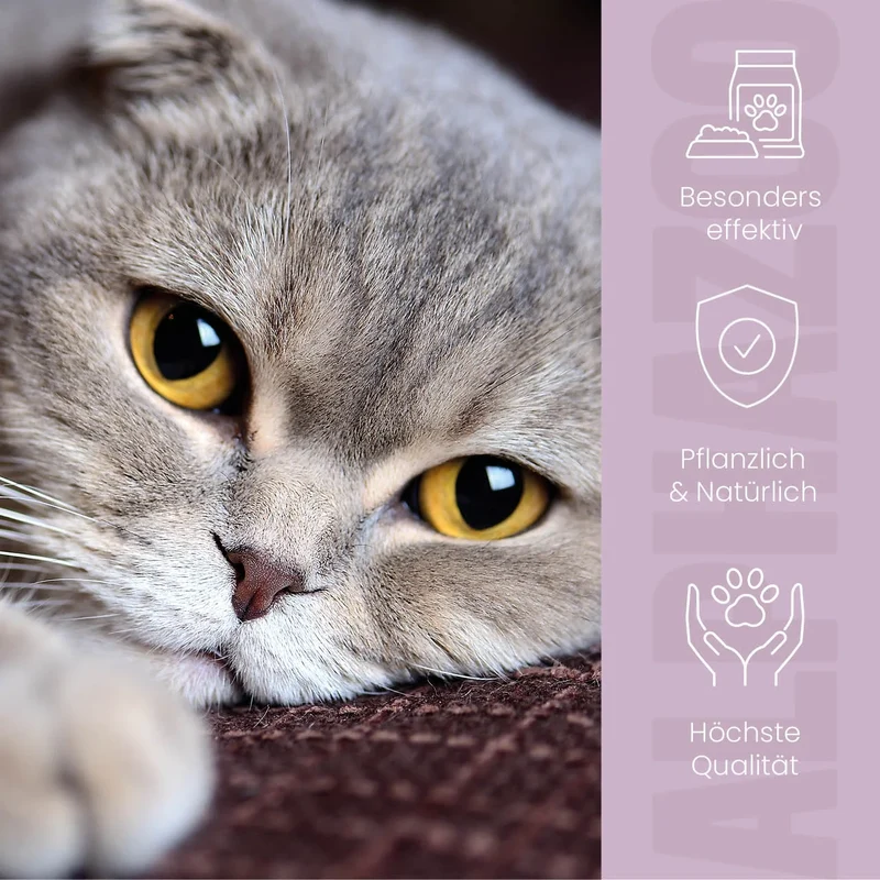 MilbHunter Spot-On für Katzen