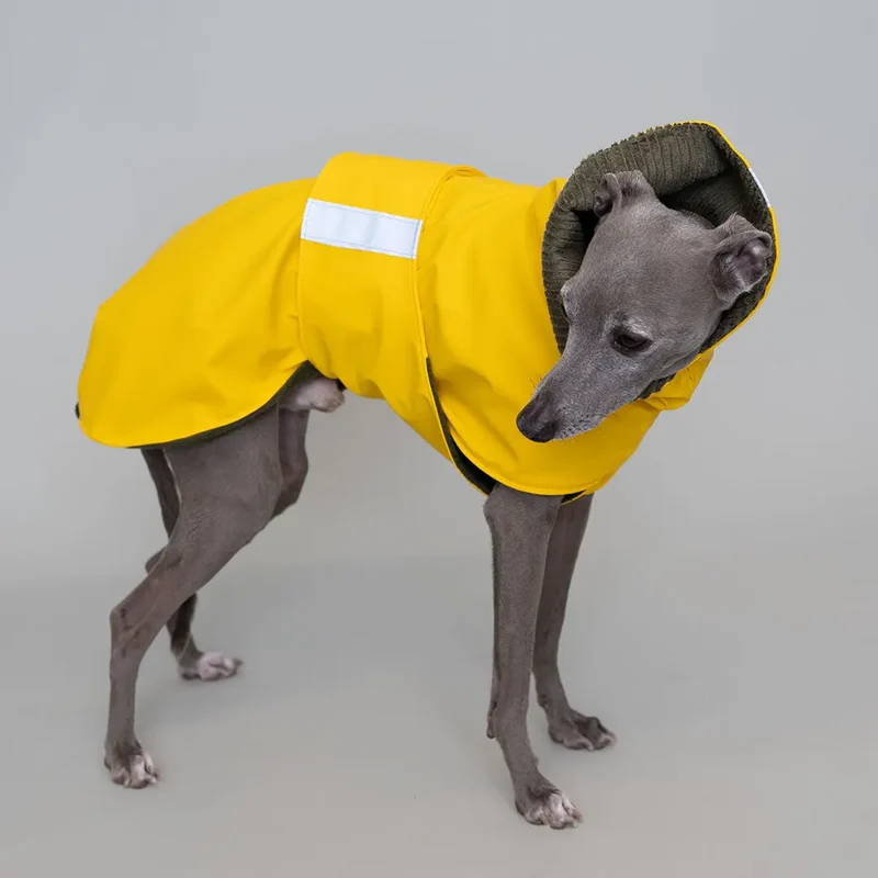 Regenmantel für Hunde "Safe From Rain VOL2" yellow