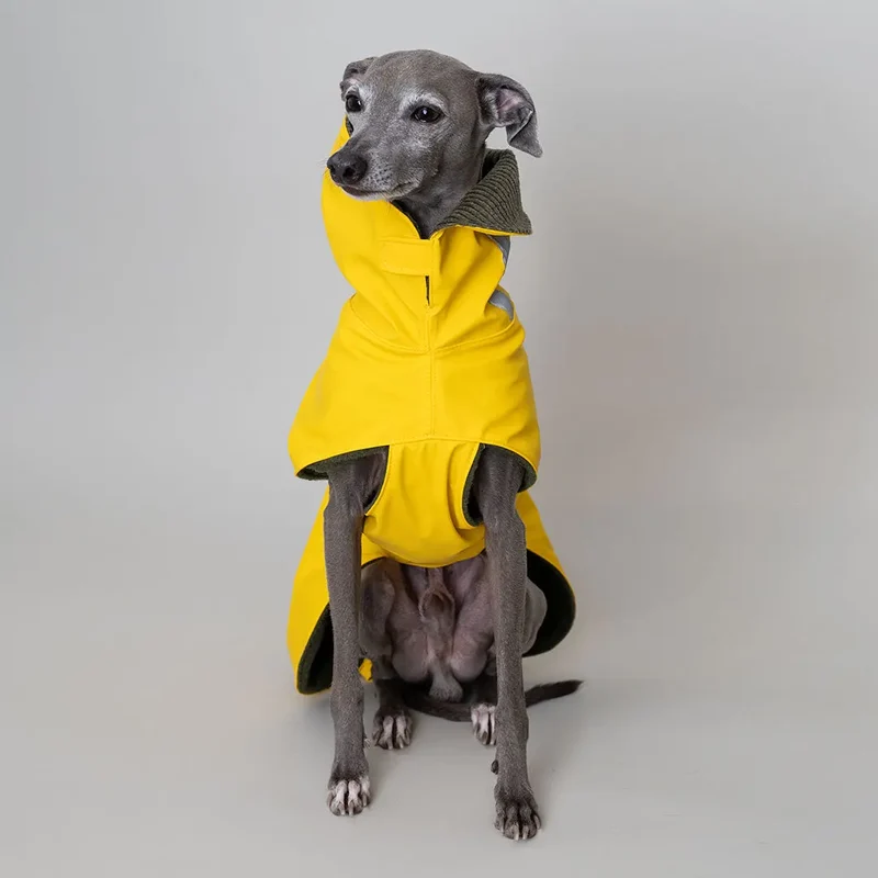 Regenmantel für Hunde "Safe From Rain VOL2" yellow