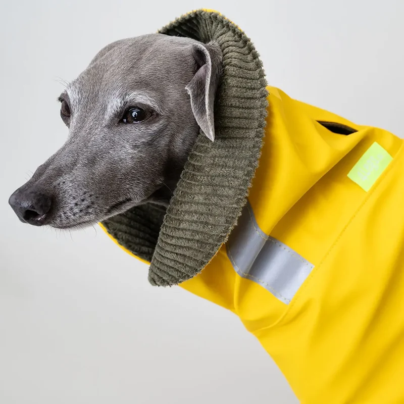 Regenmantel für Hunde "Safe From Rain VOL2" yellow