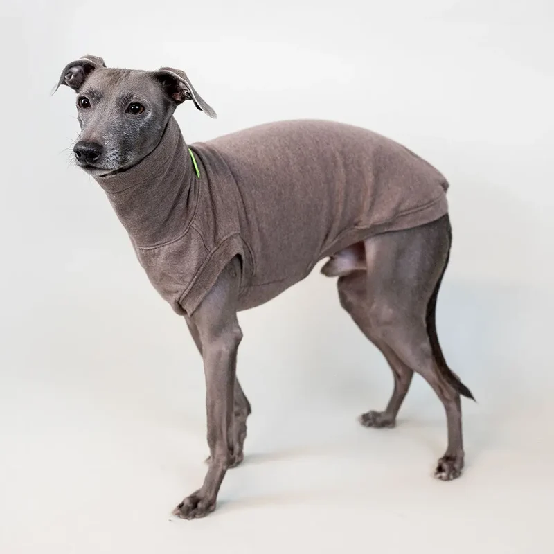 Hunde Shirt Homewear Beige