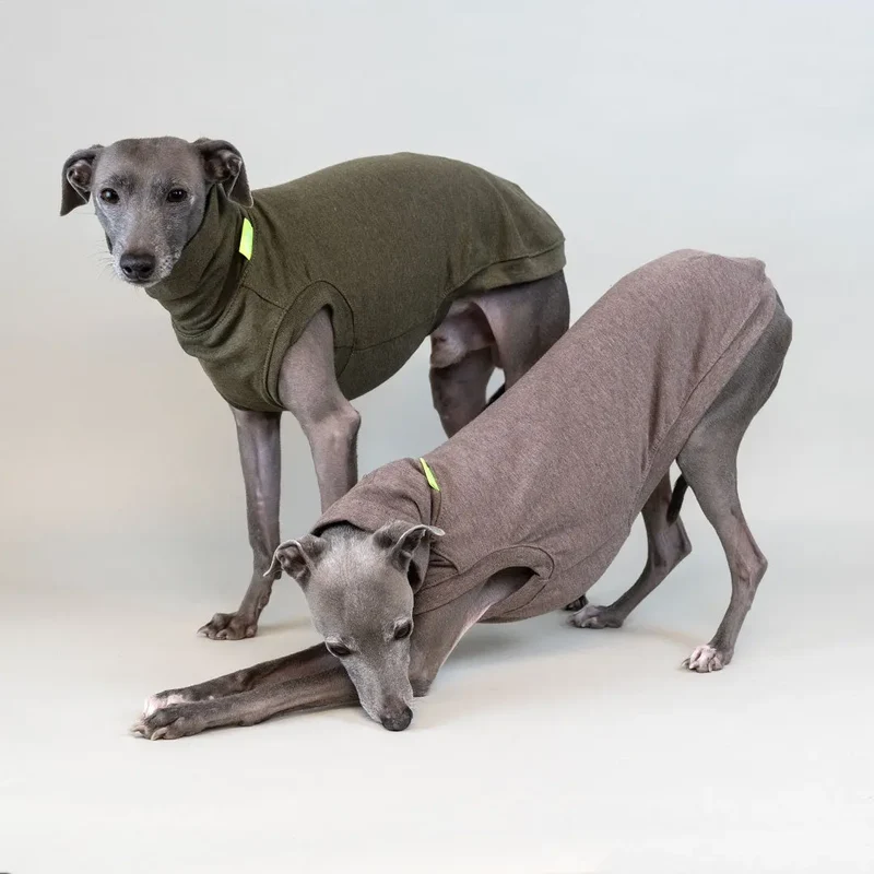 Hunde Shirt Homewear Beige