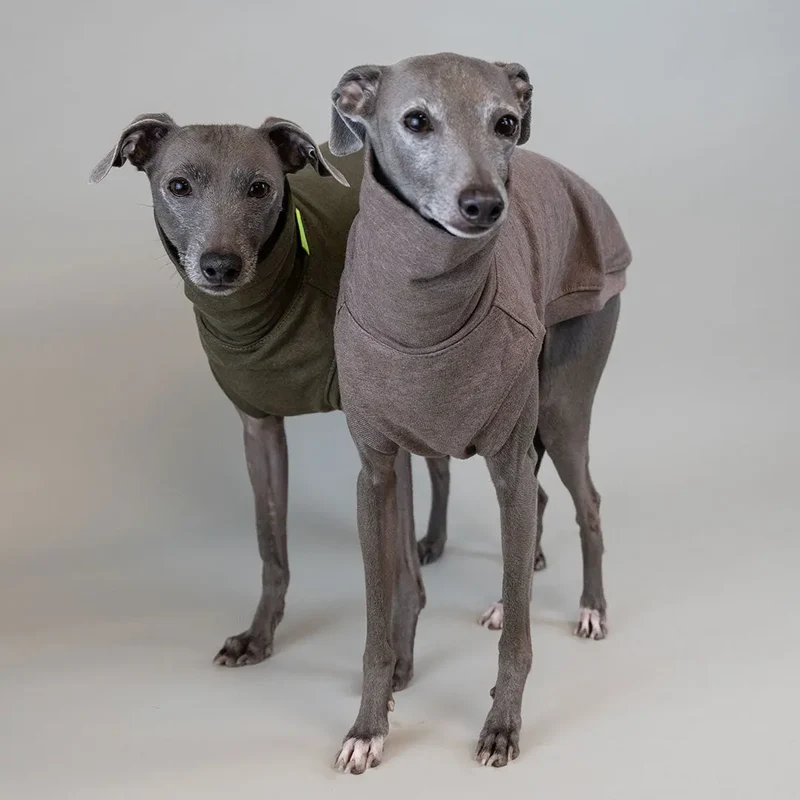 Hunde Shirt Homewear Beige