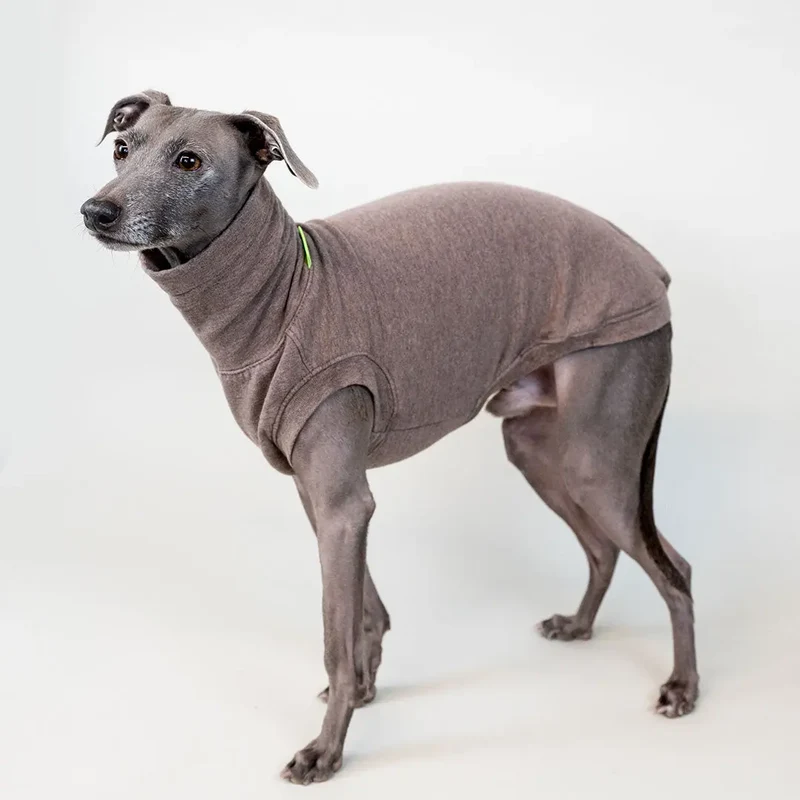 Hunde Shirt Homewear Beige