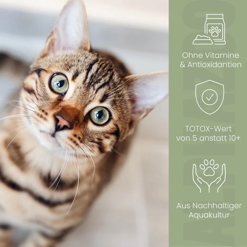 Lachsöl für Katzen