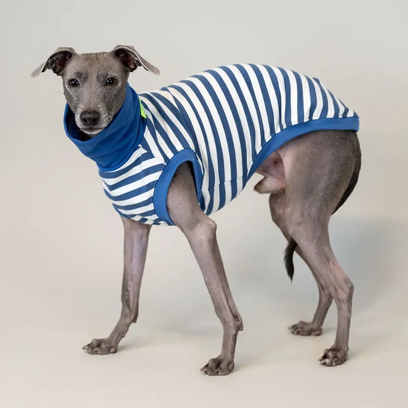 Leichtes Hundeshirt "BILBAO" bleu