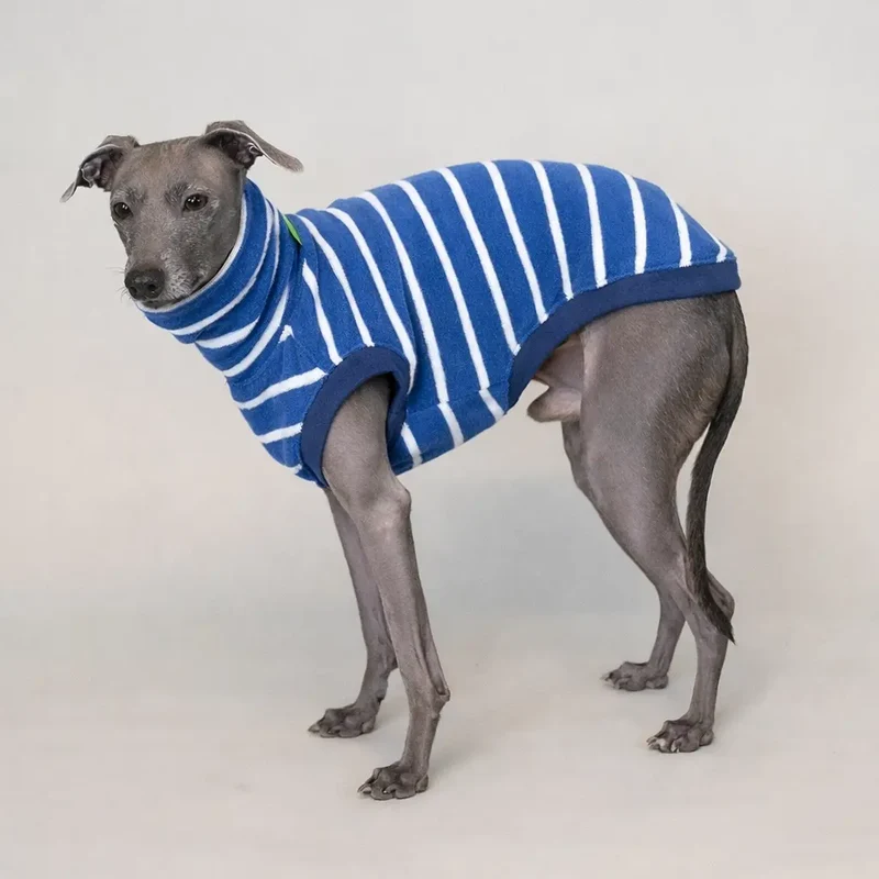 Frottee-Shirt für Hunde – Blau