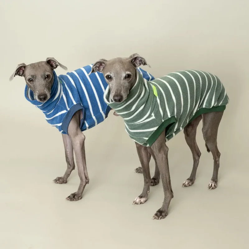 Frottee-Shirt für Hunde – Graugrün