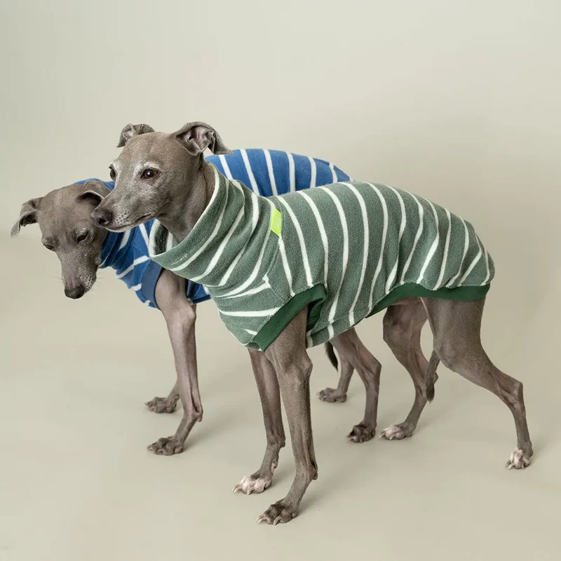 Frottee-Shirt für Hunde – Graugrün