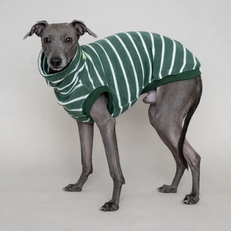 Frottee-Shirt für Hunde – Graugrün