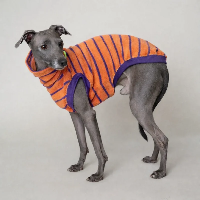 Frottee-Shirt für Hunde – Melone