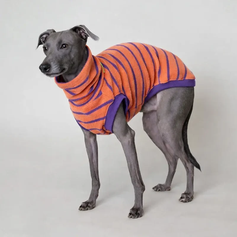Frottee-Shirt für Hunde – Melone