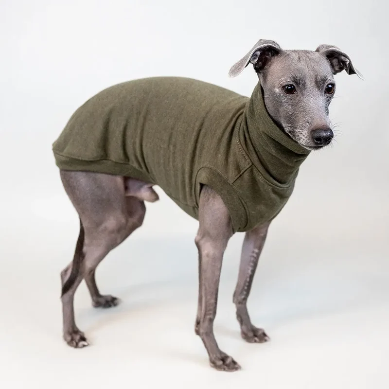 Hunde-Shirt Homewear – Khaki