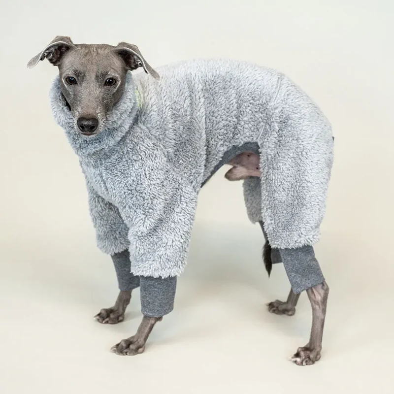 Hunde-Overall "Fozzie" silbergrau