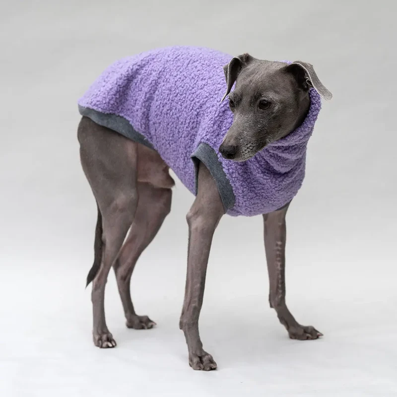 Hunde-Pulli "Glow" Lavendel