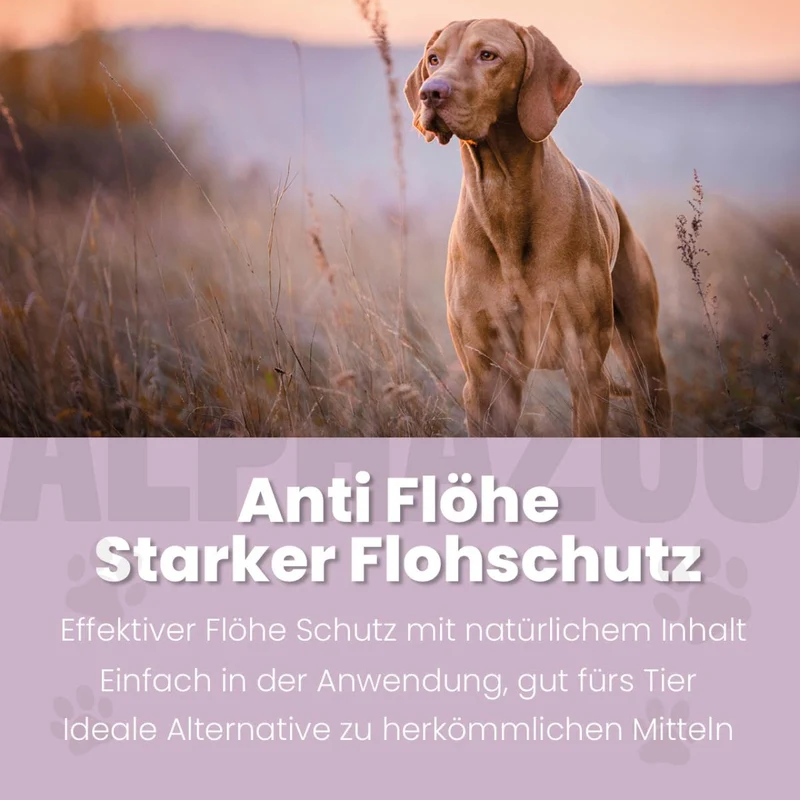 ByeByeVloh Flohspray für Hunde