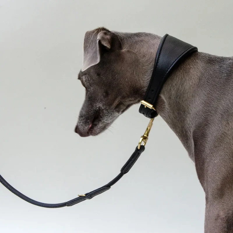 Windhundhalsband - "Greyhound Supersoft" black