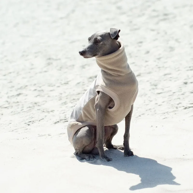 Softshell Hundepullover "Smart" - beige