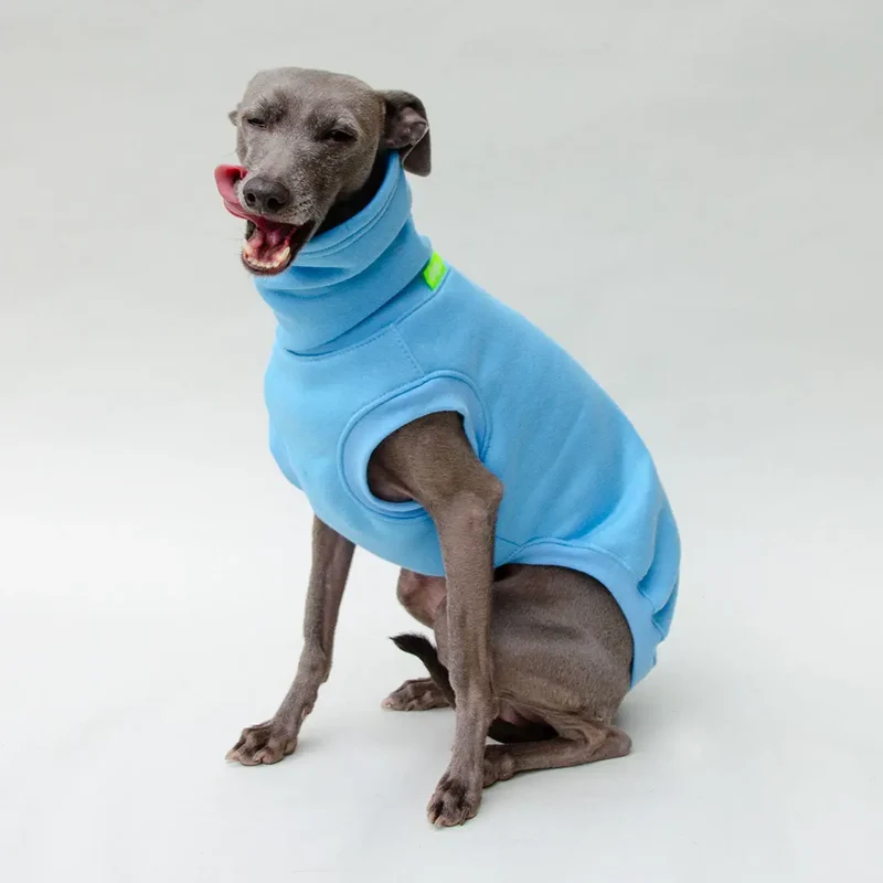 Hunde-Sweater "COZY" - bleu