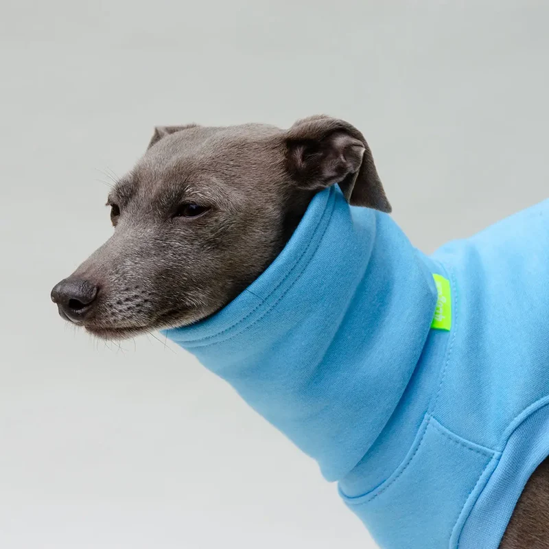 Hunde-Sweater "COZY" - bleu