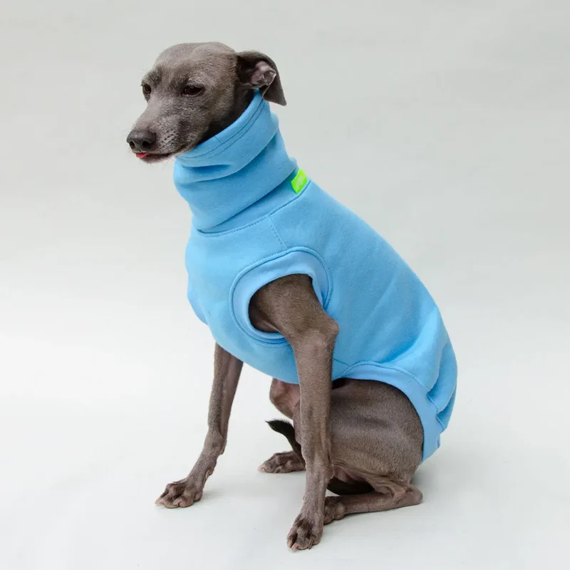 Hunde-Sweater "COZY" - bleu