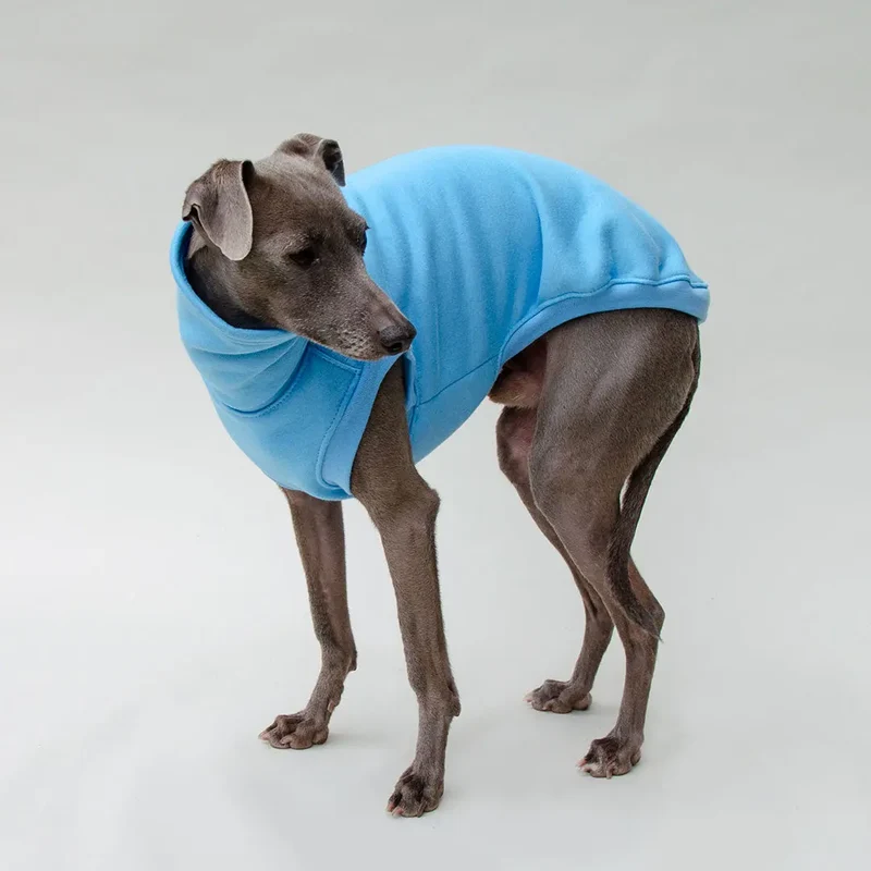 Hunde-Sweater "COZY" - bleu