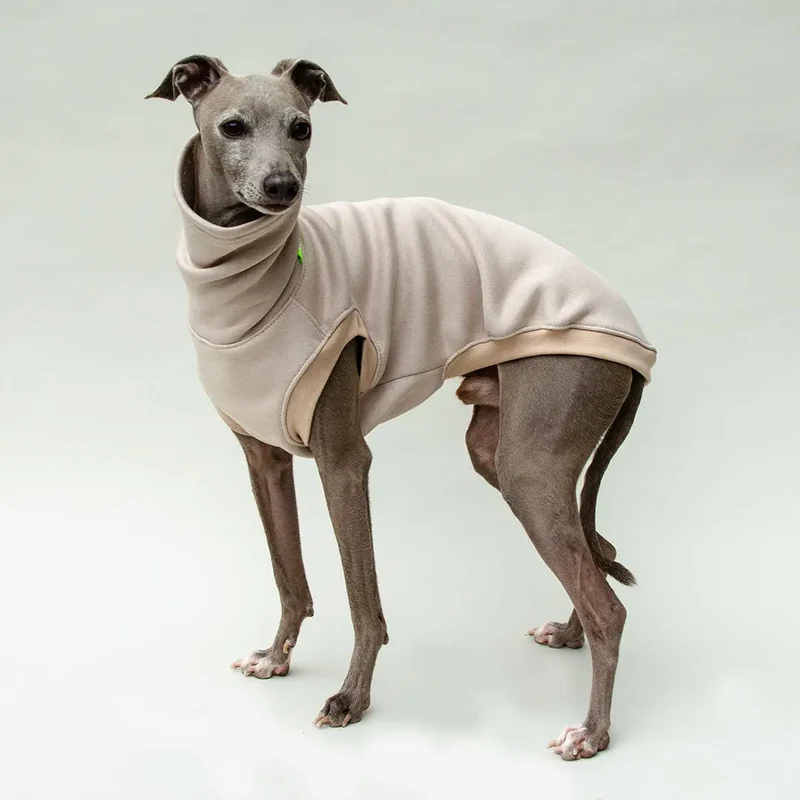 Hunde-Sweater "COZY" - beige