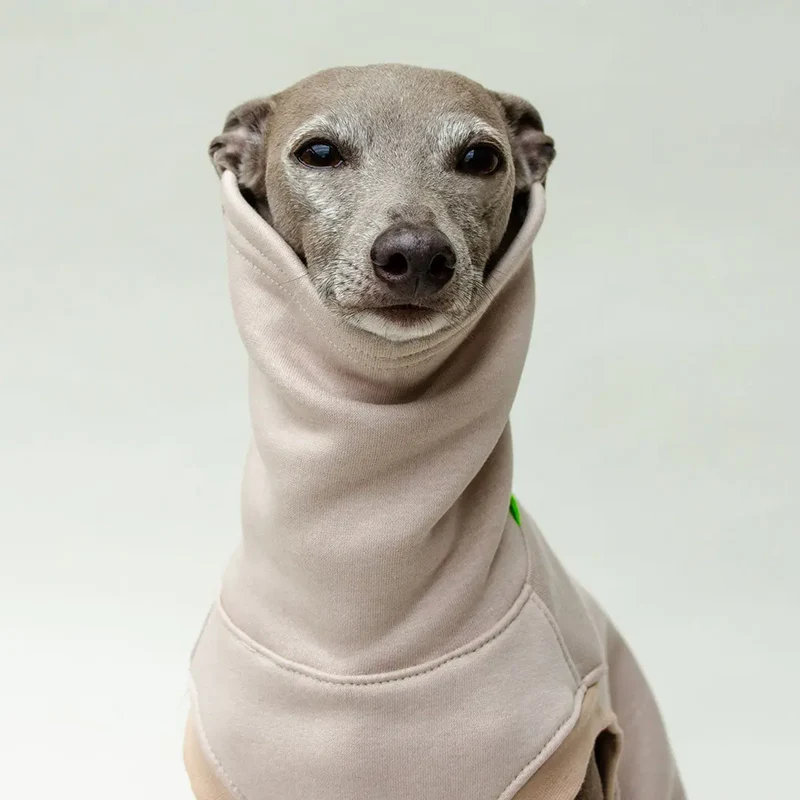 Hunde-Sweater "COZY" - beige