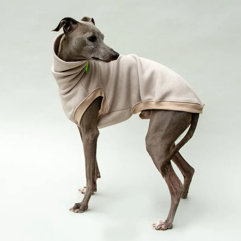Hunde-Sweater "COZY" - beige