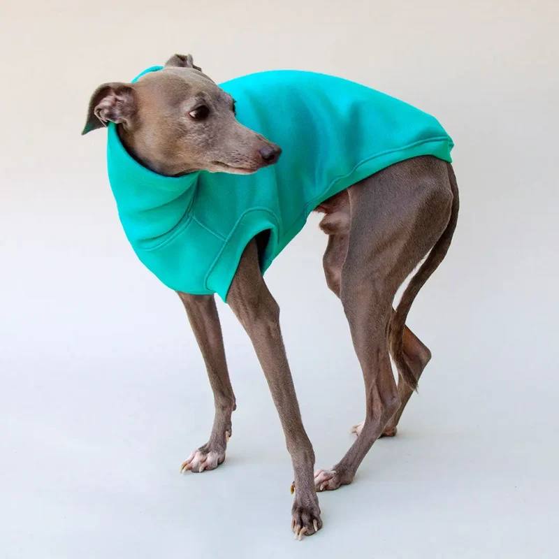 Warmes Sweatshirt "COZY" - türkis