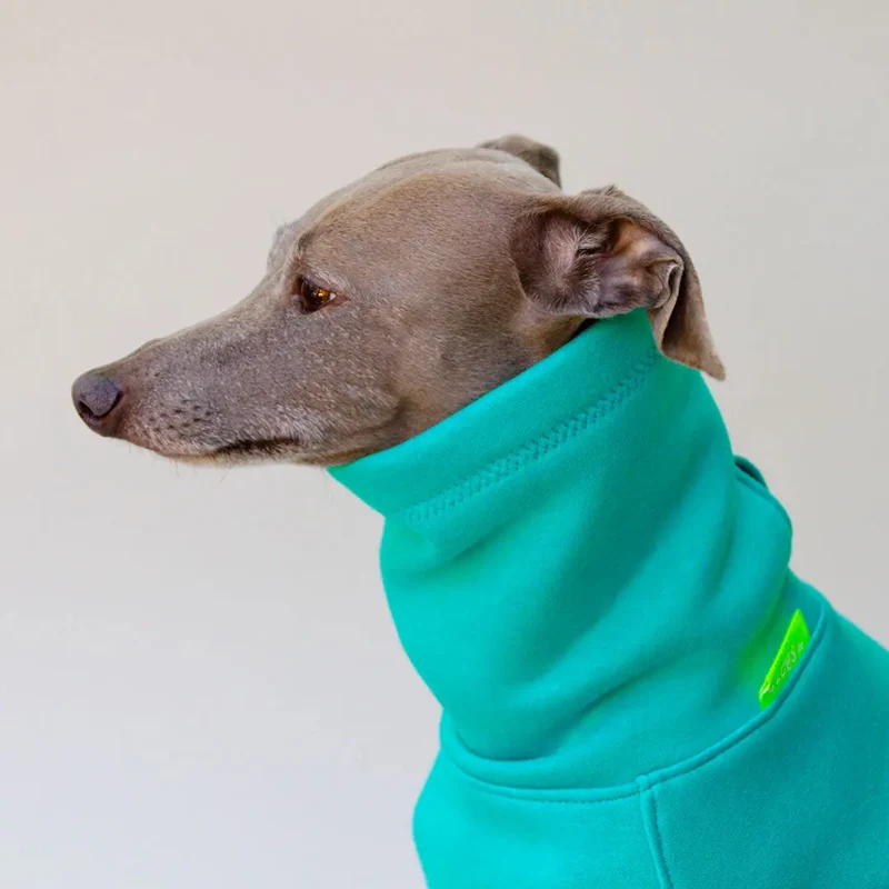 Warmes Sweatshirt "COZY" - türkis