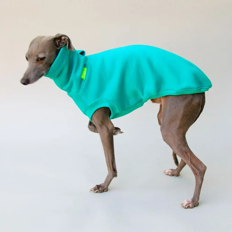 Warmes Sweatshirt "COZY" - türkis