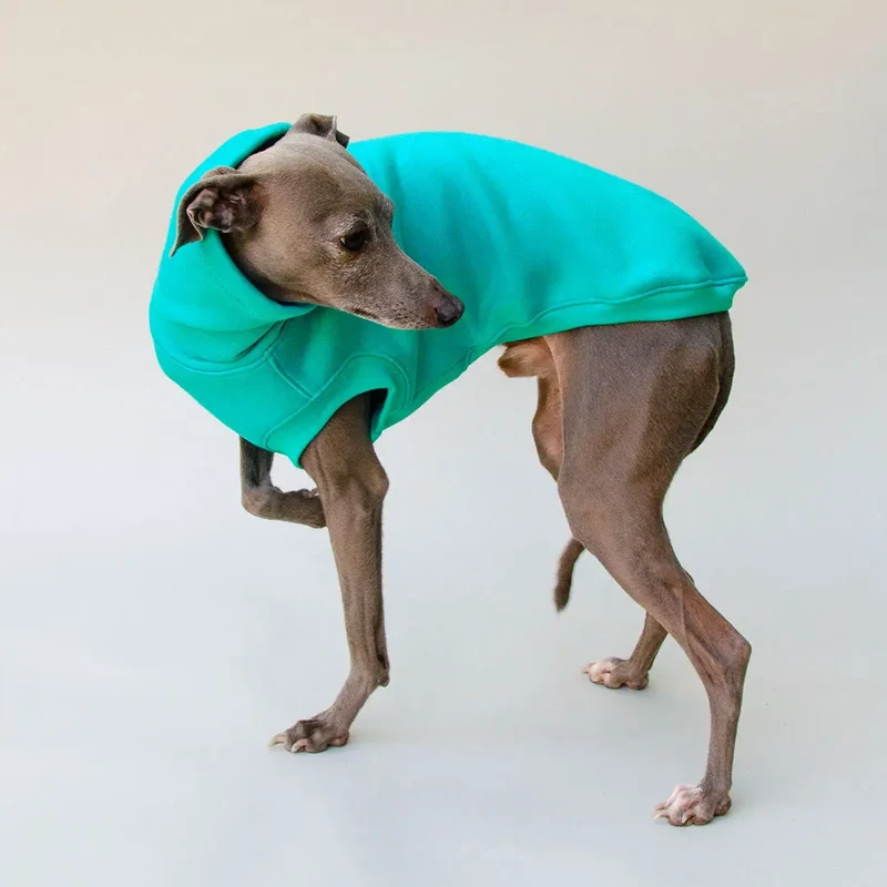 Warmes Sweatshirt "COZY" - türkis