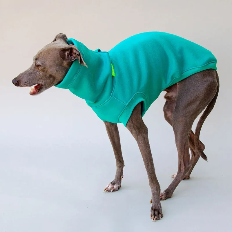Warmes Sweatshirt "COZY" - türkis