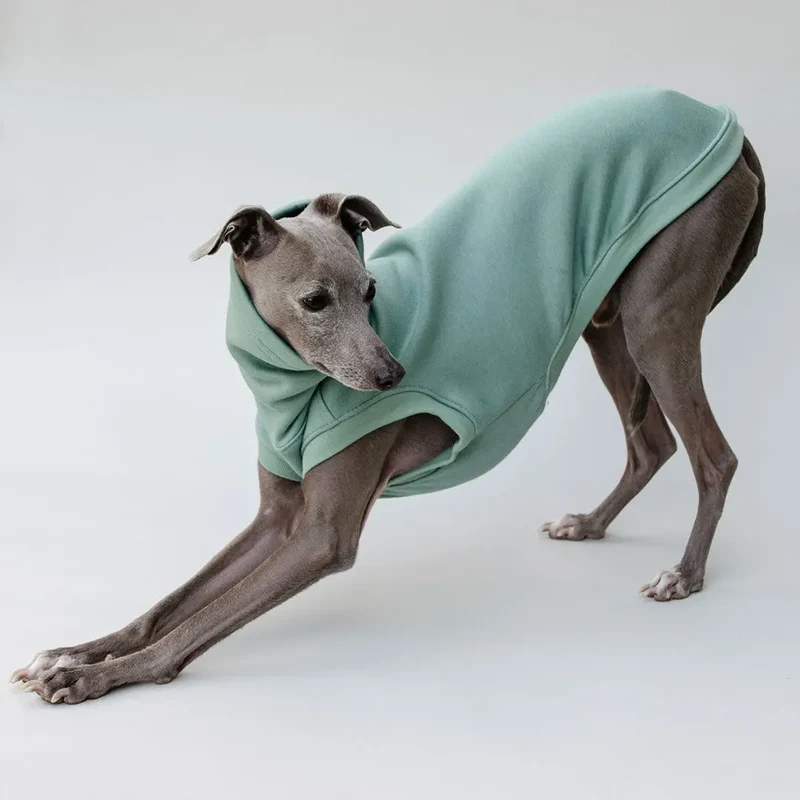 Hunde-Sweater "COZY" - salbei