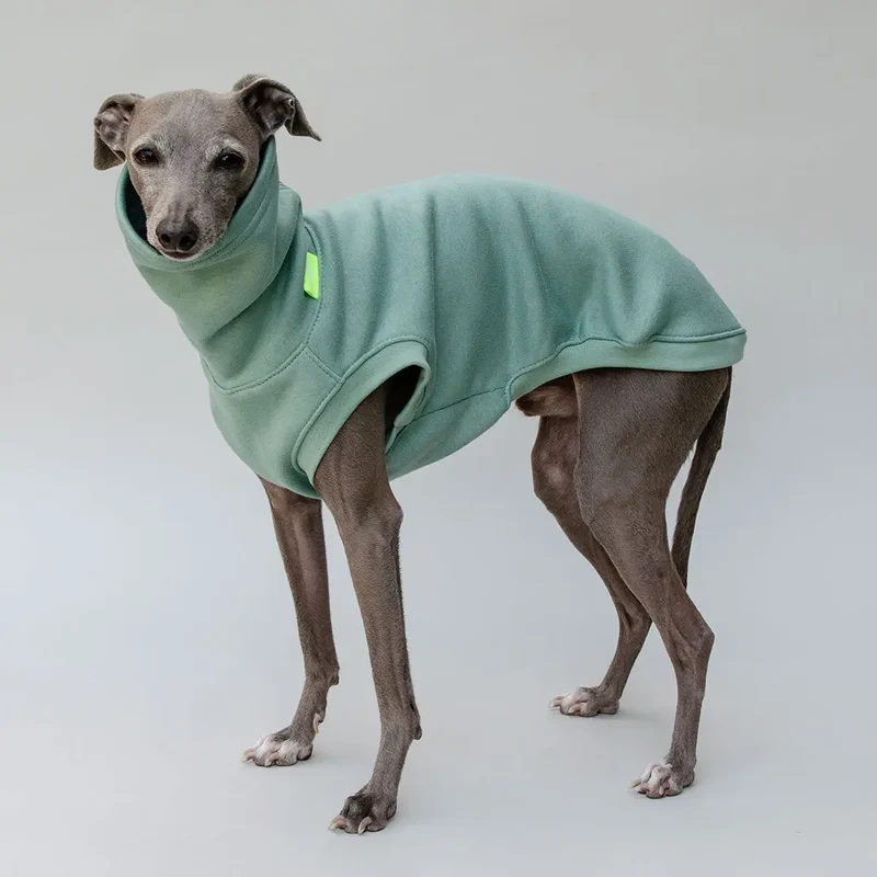 Hunde-Sweater "COZY" - salbei