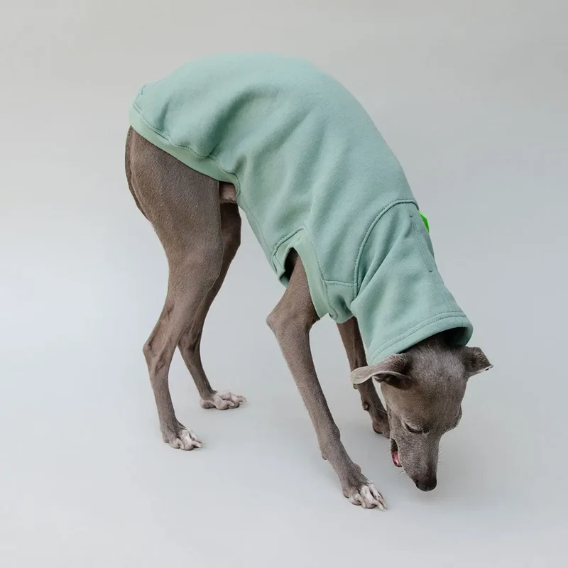 Hunde-Sweater "COZY" - salbei