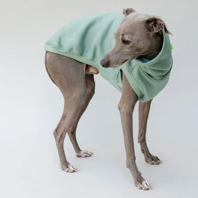 Hunde-Sweater "COZY" - salbei