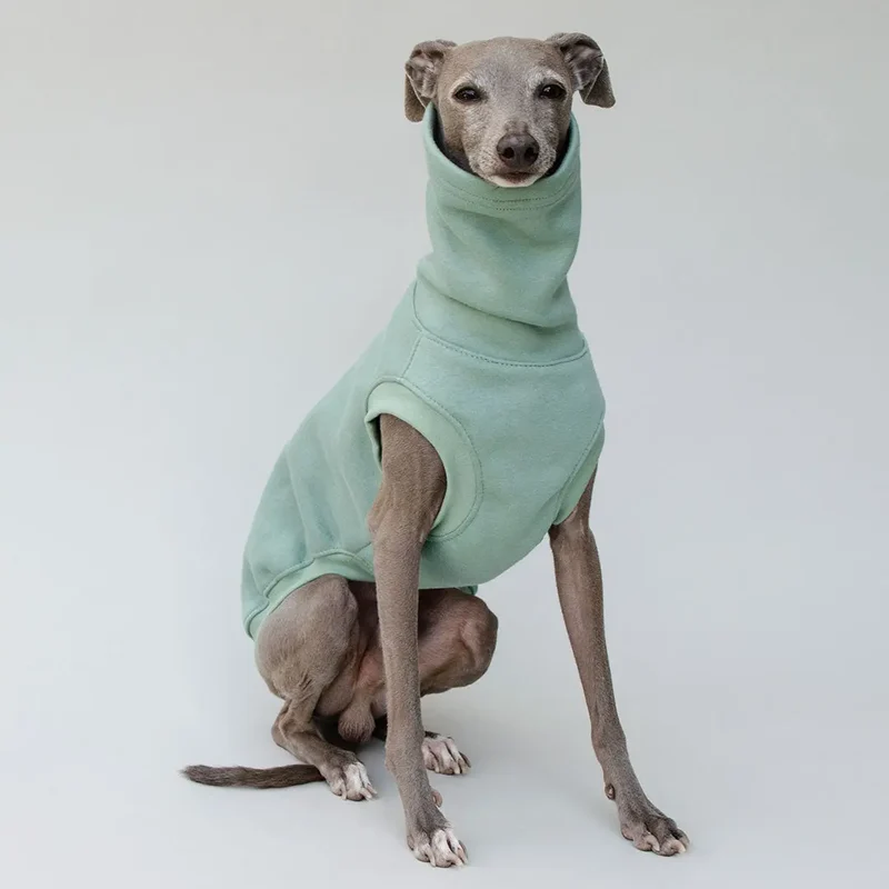 Hunde-Sweater "COZY" - salbei