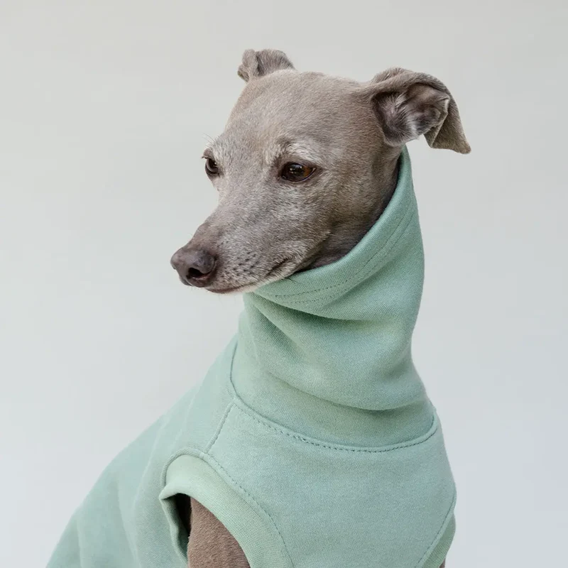 Hunde-Sweater "COZY" - salbei