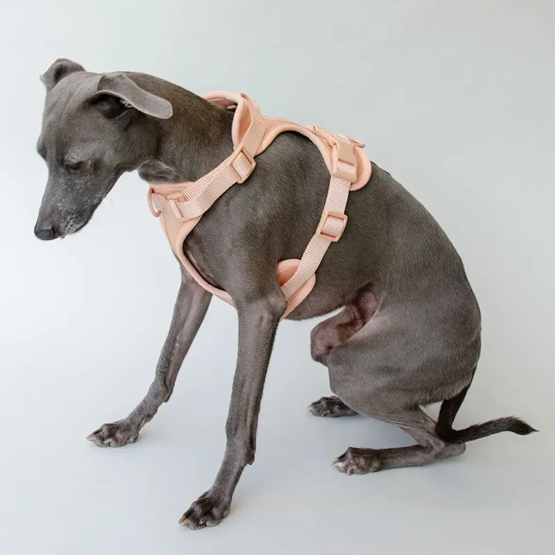 "Soft & Safe" Hundegeschirr - Rose