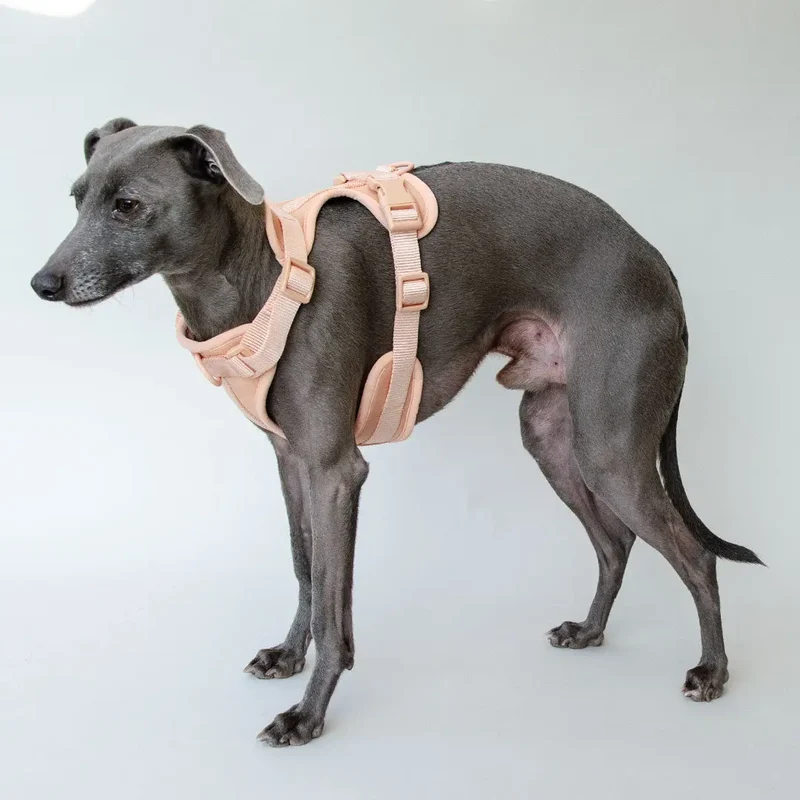 "Soft & Safe" Hundegeschirr - Rose