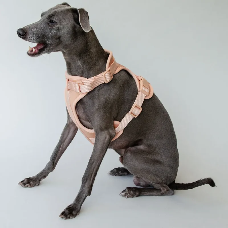 "Soft & Safe" Hundegeschirr - Rose