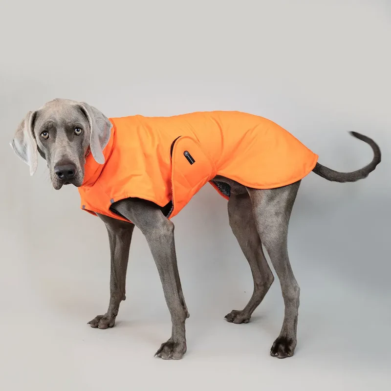 Warmer Hundemantel „Hugo“ – Neon-Orange