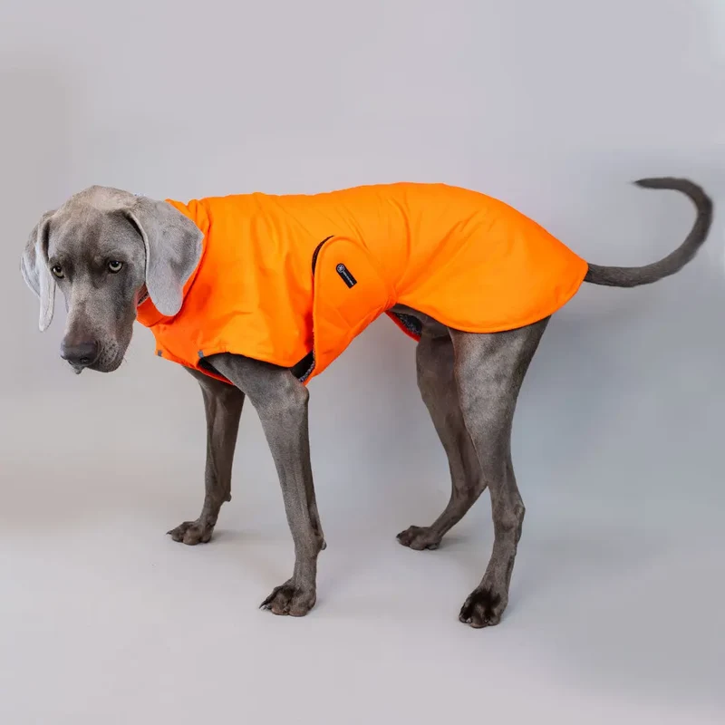 Warmer Hundemantel „Hugo“ – Neon-Orange