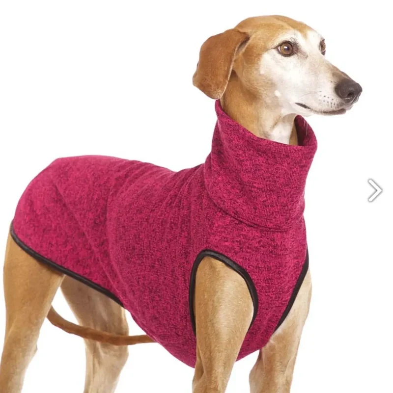 Sport-Jumper für Hunde - „Hachico JUMPER Vol. 2“ - Fuchsia
