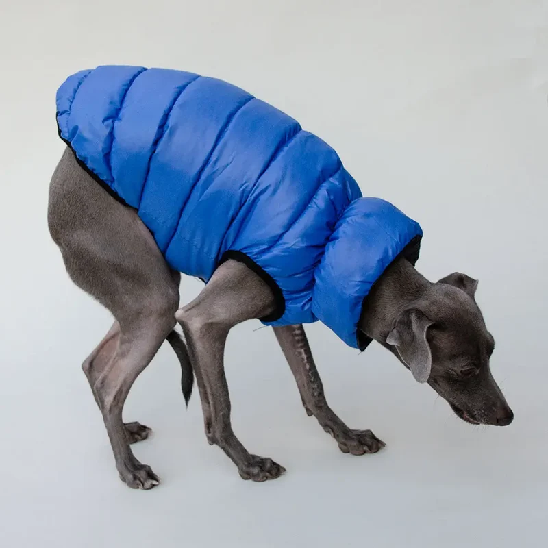 "MARINE" die superwarme Wendejacke für Hunde