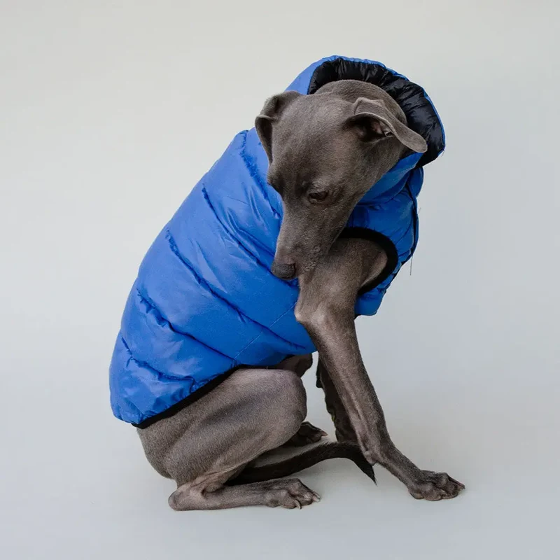 "MARINE" die superwarme Wendejacke für Hunde