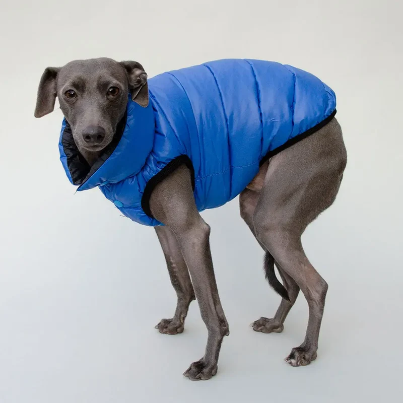 "MARINE" die superwarme Wendejacke für Hunde
