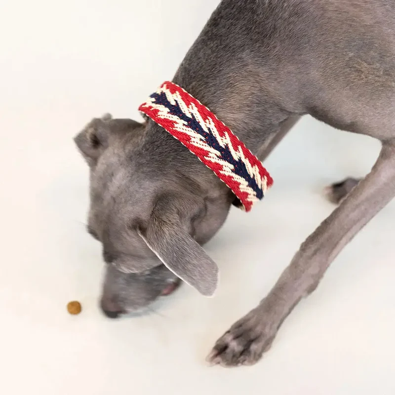 Hundehalsband - "Red Arrow" - Buddys